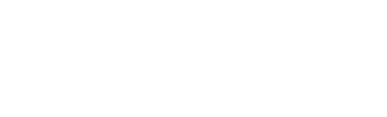 Netfly